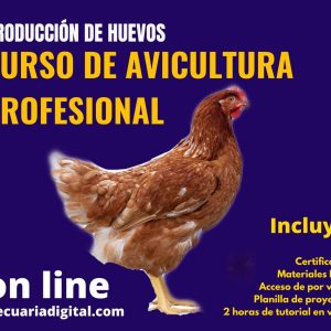 Avicultura profesional