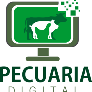 Curso 4 x 1