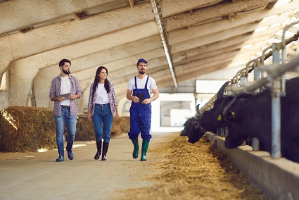 liderar negocios agropecuarios